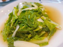 -黛瓦里·花园飨宴