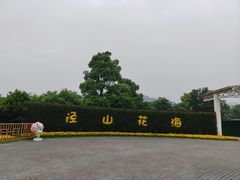 -径山花海