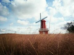 -羊亭河湿地公园