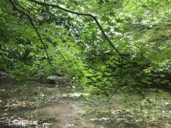 -中国茶叶博物馆(双峰馆区)