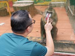 -荆州中山公园动物园