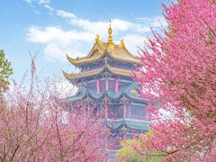 -全季酒店(重庆上清寺牛角沱地铁站店)