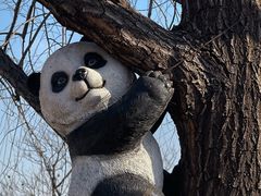 -京北渔家傲
