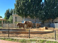 -石家庄市动物园