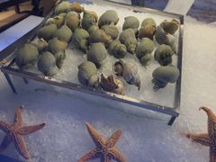 -锦厨国际自助餐厅 · 云端景观 (昆明索菲特大酒店)
