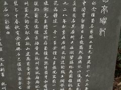 -杭州黄龙洞