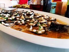 -呼吸森林·生态农庄农家乐私房菜