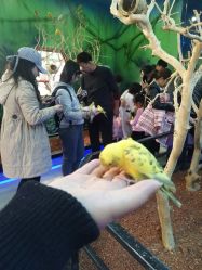 -未来动物城动物主题公园(大悦城店)