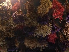 -栖巢咖啡(天鹅湖万达低碳店)