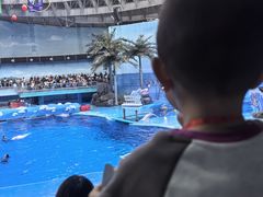 -海合安成都极地海洋公园