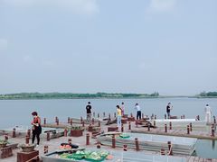 -西青郊野公园