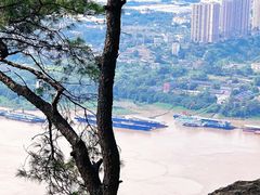 -铁山坪森林公园