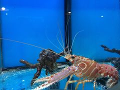 -中影国际影城(兰生大厦CINITY LED店)