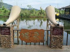 -一煲鸽