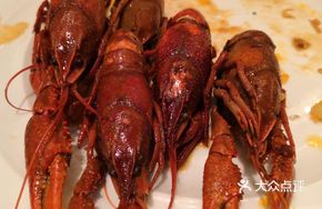 Herb Cheese Lobster