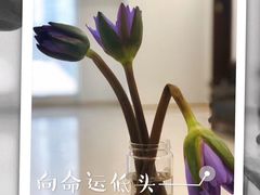 -成都市金牛区人民医院