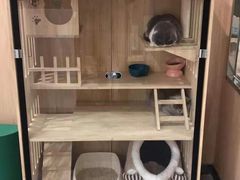 -BABIT巴比特宠物(MOMOPARK店)