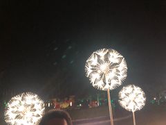 -秦皇岛阿尔卡迪亚滨海度假酒店