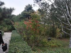 -北京鹫峰国家森林公园