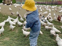 -南通洲际绿博园