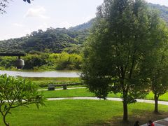 -风云岭森林公园