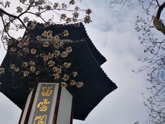 -上海佘山国家森林公园天马山园