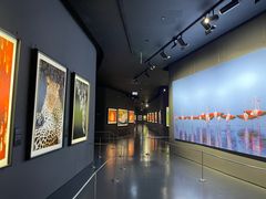 -罗红摄影艺术馆