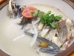 -全乐鱼馆·淳牌有机鱼直营店