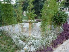 -上海昆虫博物馆