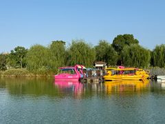 -上海长兴岛郊野公园