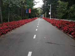 -黑龙江省森林植物园