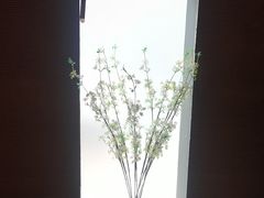 -千代武日本料理(爱建店)