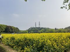 -八卦田遗址公园