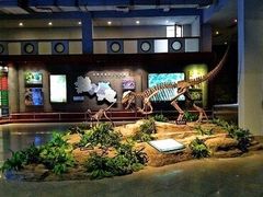 -自贡恐龙博物馆