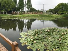 -上海植物园·停车场