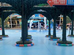 -海合安成都极地海洋公园