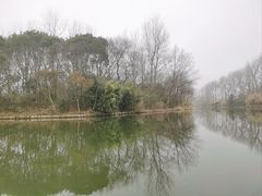 -溱湖国家湿地公园