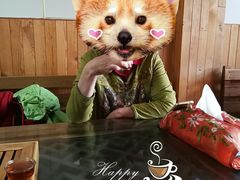 -丽江庭院之爱在路上(西单店)