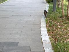 -蠡湖大桥公园