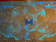 -上海昆虫博物馆