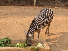 -昆明动物园