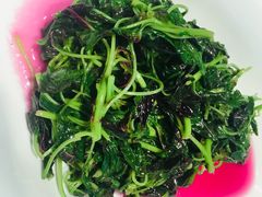 -菩提树·素食餐厅(汇智国际商业中心店)