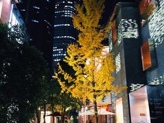 -徐家汇源景区-衡山坊