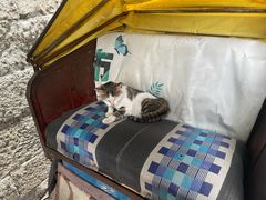 -卞嵊记老味道(嵊州总店)