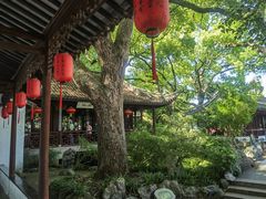 -上海醉白池公园