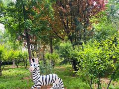 -石家庄市动物园