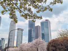 -西北湖绿化广场