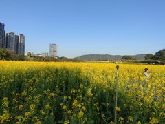 -光明小镇欢乐田园