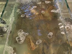 -渔家火锅·海鲜自助餐·演艺(亚龙湾天域酒店)