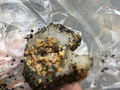 -叶氏麻糍(鼓浪屿店)